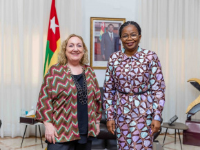 Stabilité au Sahel : le Togo et l’UE se concertent