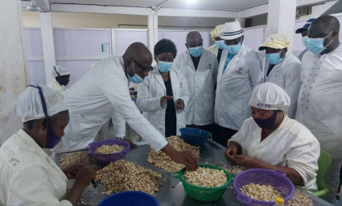 Cajou : la ministre du commerce visite une usine dans la Centrale