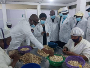 Cajou : la ministre du commerce visite une usine dans la Centrale