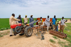 « Le Togo est passé d’une agriculture familiale à une agriculture plus modernisée, mais il reste des défis » (Kanka-Malik Natchaba)