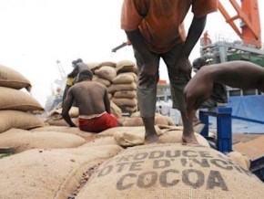 La Côte d’Ivoire pourrait perdre 400 000 tonnes de cacao en 2017/2018 en raison de la contrebande