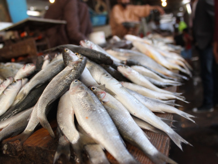 Pêche et aquaculture : un budget prévisionnel de 2 milliards FCFA en 2024