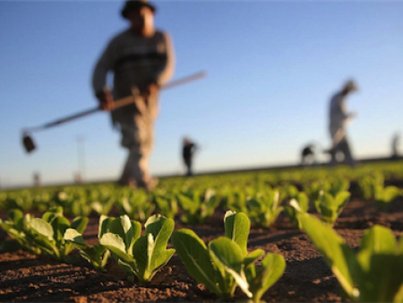 Le 11ème Forum National du Paysan Togolais se tiendra du 11 au 13 avril prochain à Kara avec des innovations