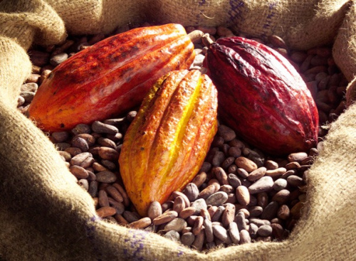 Café-cacao :  le délai d&#039;enregistrement pour la commercialisation prorogé