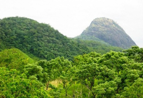 Environnement : vers un renforcement de la biodiversité dans les Plateaux