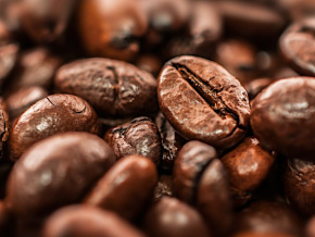 Les opérateurs économiques de la filière café-cacao invités à s’enregistrer avant le 03 septembre