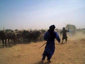 19,5 milliards de FCFA de la BID en faveur du pastoralisme au Burkina Faso
