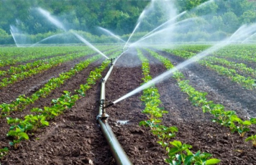 Irrigation : les acteurs font le point et formulent des recommandations