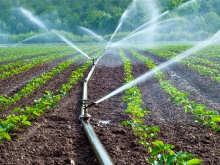 Irrigation : les acteurs font le point et formulent des recommandations