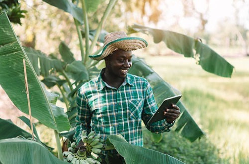 5ème recensement agricole : la formation des contrôleurs TIC démarre le 14 novembre