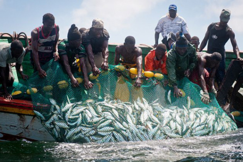 Le Togo va ratifier la convention sur les subventions à la pêche