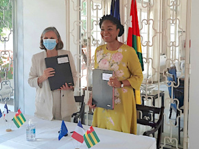 Diaspora : des talents bientôt au service du Togo