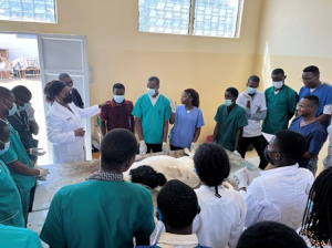 Enseignement supérieur : postulez pour des bourses en Sciences et Médecine Vétérinaires