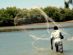 Au Togo, l&#039;usage des filets de pêche similaires aux moustiquaires est interdit