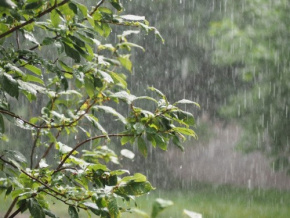 Météo : de fortes pluies attendues de septembre à novembre