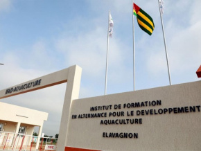 Au Togo, lancement du 1er baccalauréat professionnel en aquaculture