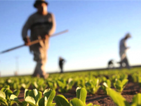 Le Togo élabore la carte de fertilité de ses sols agricoles