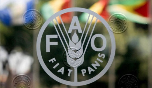 Le Togo bénéficie d’un accompagnement de la FAO pour l’amélioration de la sécurité alimentaire dans la région des Savanes
