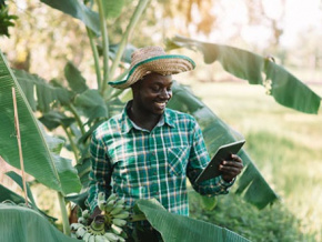 innovation-agricole-participez-a-la-premiere-edition-du-prix-abdoulaye-toure