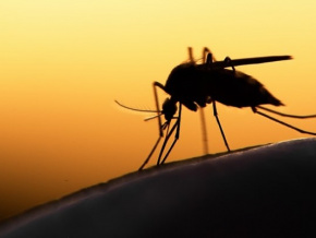 Paludisme saisonnier : début de la campagne de traitement préventif au nord