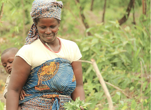 PPAAO-TOGO : 95% d’exécution, 600 000 bénéficiaires et un fort impact sur le secteur agricole