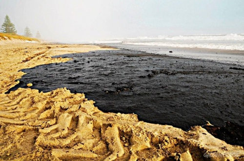 Pollutions et catastrophes environnementales : le Togo renforcera son arsenal législatif