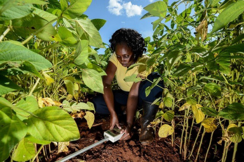 Lomé accueille le Marché des innovations et technologies agricoles à partir du 21 octobre