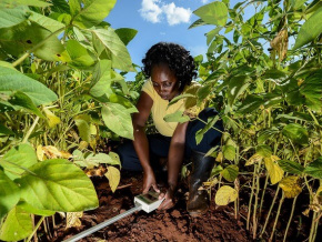 Lomé accueille le Marché des innovations et technologies agricoles à partir du 21 octobre