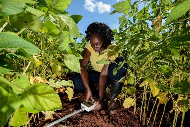 lome-accueille-le-marche-des-innovations-et-technologies-agricoles-a-partir-du-21-octobre