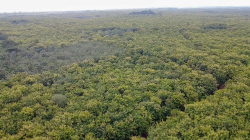 Environnement : le Togo consacre une semaine aux aires protégées