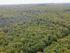 Environnement : le Togo consacre une semaine aux aires protégées