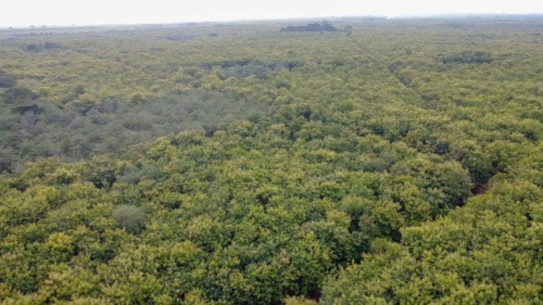 environnement-le-togo-consacre-une-semaine-aux-aires-protegees