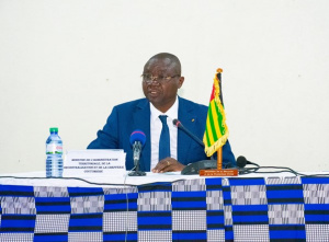 Frontières : le Togo et le Ghana de nouveau réunis autour du processus de délimitation