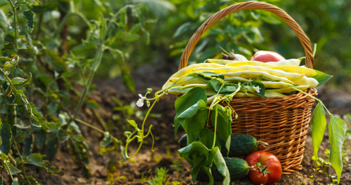 Qualité : une meilleure certification des produits agricoles se profile