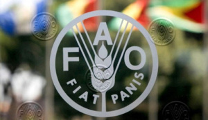 La FAO célèbre ses 40 ans de présence au Togo