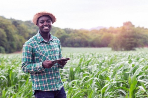 Le 5ème recensement agricole démarre le 30 novembre