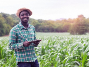 Le 5ème recensement agricole démarre le 30 novembre