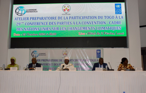 COP29 : le Togo prépare sa participation