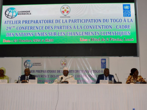 cop29-le-togo-prepare-sa-participation