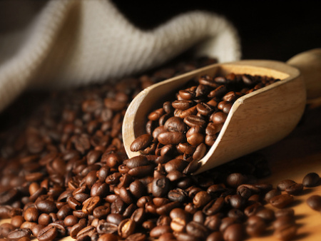 Début de la campagne de commercialisation du café-cacao