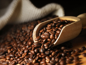 Début de la campagne de commercialisation du café-cacao