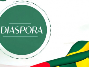Un guichet unique pour renforcer la contribution de la diaspora