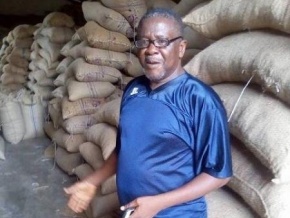Nigéria : la saison cacaoyère principale 2018/2019 menacée par les inondations