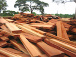 Le Togo se prépare à accueillir les acteurs mondiaux du secteur des bois tropicaux