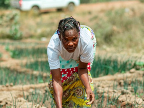 un-centre-de-services-et-de-formation-agricole-bientot-implante-a-tindjassi