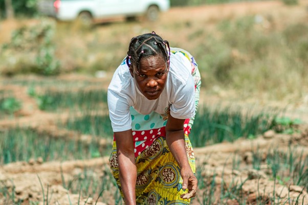 un-centre-de-services-et-de-formation-agricole-bientot-implante-a-tindjassi