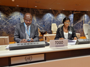 Droit des personnes handicapées : le rapport du Togo examiné à Genève