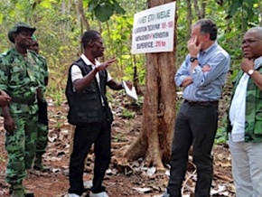 Lomé, hôte en 2019 de la 55ème Session de l’Organisation Internationale des Bois Tropicaux