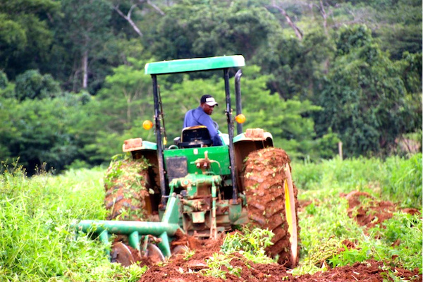 Le Togo va se doter d’une agence de transformation agricole