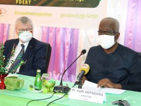 Le Togo veut tirer profit de son potentiel en biomasse
